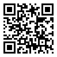 SEO快排网站模板 大气的IT网络软件公司网站源码